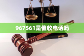 肇庆为什么选择专业追讨公司来处理您的债务纠纷？